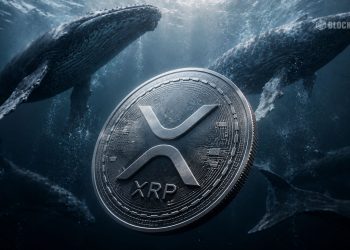 XRP Leads Crypto Rally as Whale Buying Explodes – Here Is Why Traders Are Watching Closely