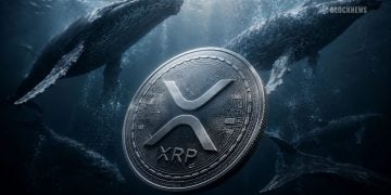 XRP Leads Crypto Rally as Whale Buying Explodes – Here Is Why Traders Are Watching Closely