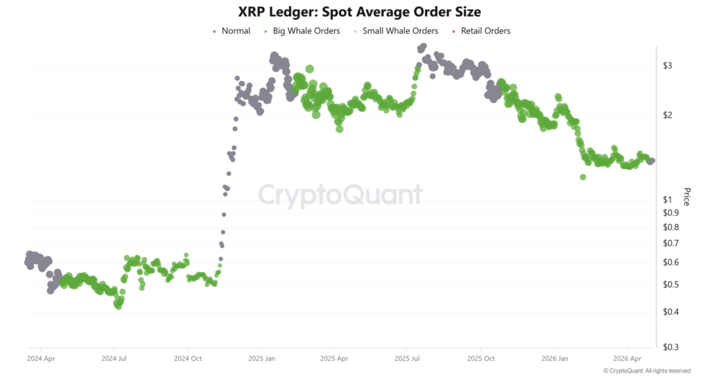 Xrp Ledger Spot Average Order Size