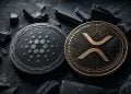 XRP vs Cardano Crypto in 2026 - Which Looks Smarter for a $5,000 Investment?
