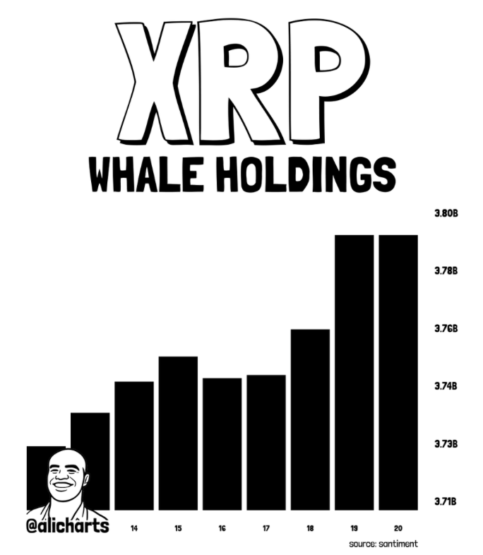 XRP Crypto Faces Crucial June Take a look at Whereas Huge Traders Maintain Accumulating – Right here Is What Merchants Ought to Watch – BlockNews XRP Crypto Faces Crucial June Take a look at Whereas Huge Traders Maintain Accumulating – Right here Is What Merchants Ought to Watch – BlockNews