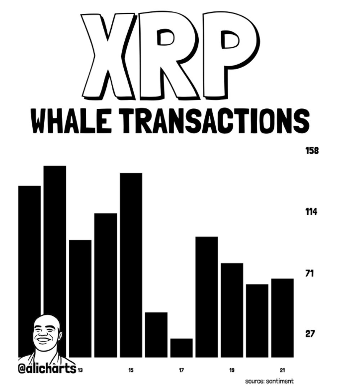 XRP Whale Exercise Collapses 57% as Worth Weakens – Right here Is Why Merchants Are Watching Carefully – BlockNews XRP Whale Exercise Collapses 57% as Worth Weakens – Right here Is Why Merchants Are Watching Carefully – BlockNews