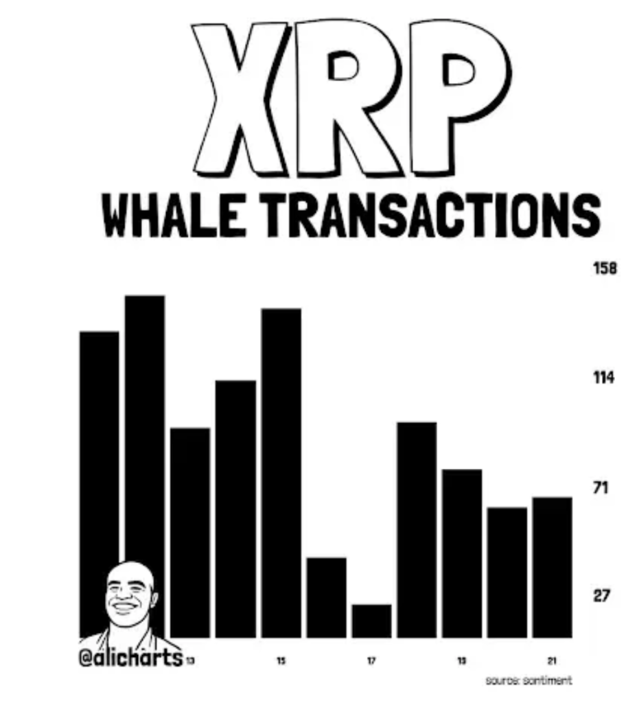 XRP whale