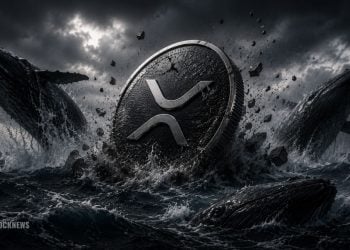 XRP Whale Activity Collapses 57% as Price Weakens – Here Is Why Traders Are Watching Closely