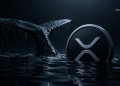 Xrp Whale Withdrawals Surge Before Ripple Unlock - Here is Why Traders Are Watching Closely
