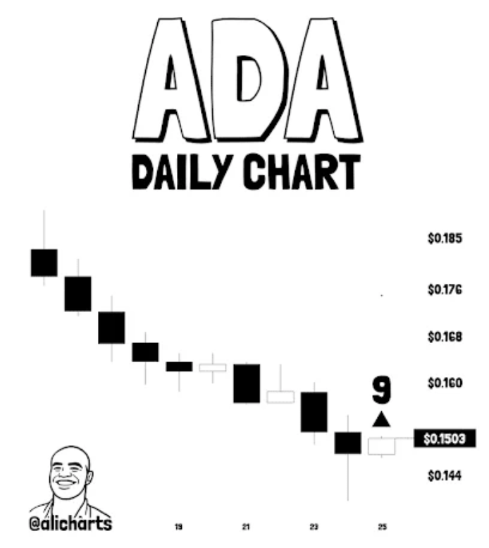 ADA Cardano 
