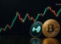 Bitcoin and Hyperliquid Crypto Stand Out in Bear Market - Here Is Why Some Investors Keep Buying