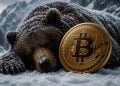 Sleeping bear cuddling a large gold Bitcoin coin in a snowy forest scene in winter light.