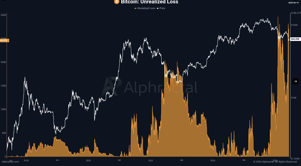 Bitcoin Unrealized Loss