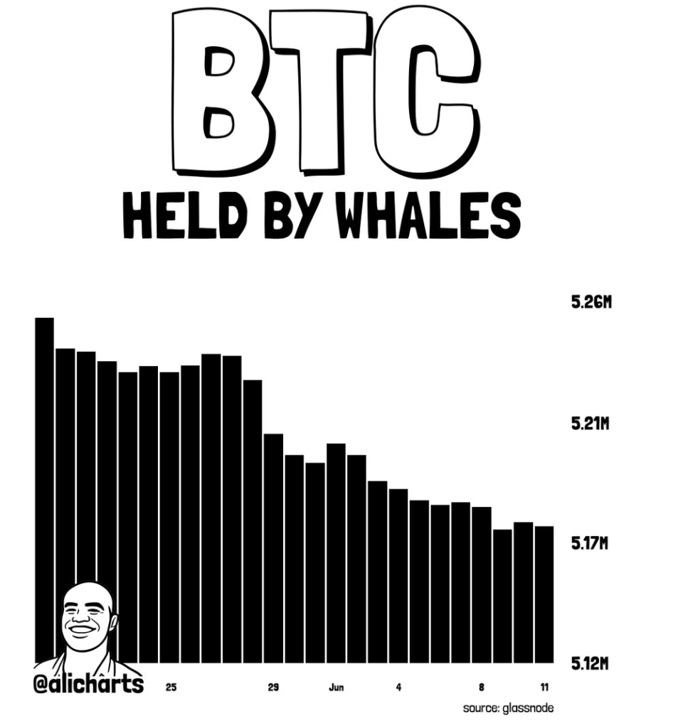 BTC held by whales
