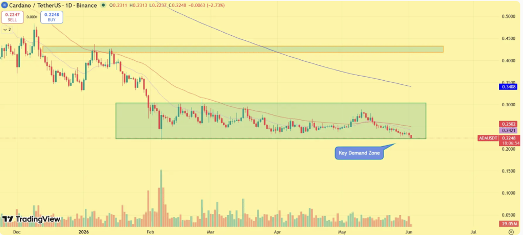 Cardano 