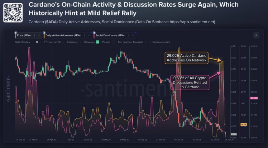 Cardano chain activity