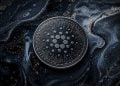 Cardano Crypto Holds Near Support - Here Is What ADA Whales Are Doing