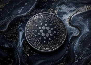 Cardano Crypto Holds Near Support – Here Is What ADA Whales Are Doing