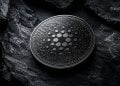 Close-up of a silver cryptocurrency coin with a circuit-board design on dark rock surface.