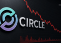 Circle Stock Drops After Open Usd Launch - Here is Why the Stablecoin Race is Heating Up