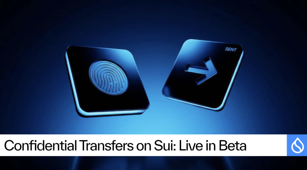 Confidential Transfers on Sui
