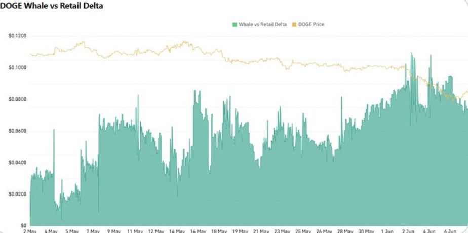 Dogecoin DOGE whale 