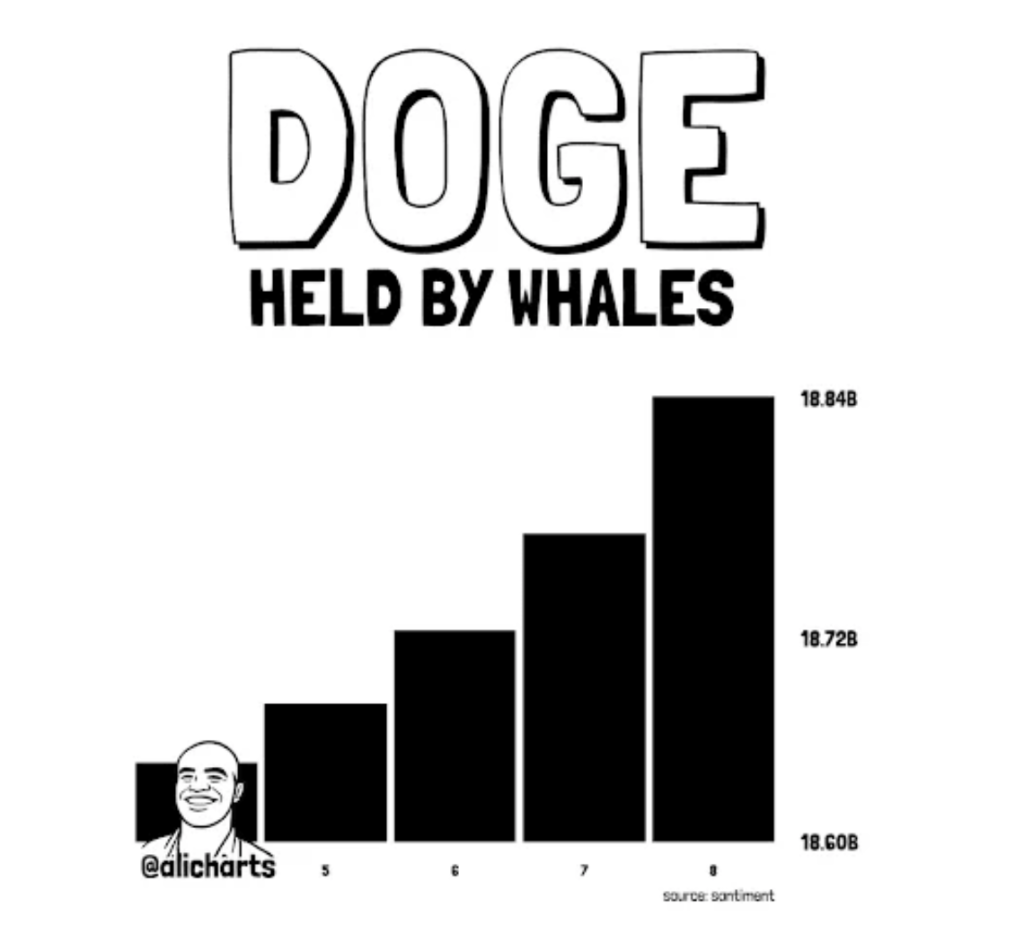 Dogecoin DOGE whale