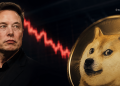 Dogecoin Struggles After Spacex Ipo - Here is Why Investors Are Betting on X Money