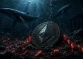Ethereum Crypto Whale Activity Collapses - Here Is Why ETH Traders Are Watching $1,500