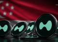 Hyperliquid Added to Singapore Alert List - Here is Why Hype Investors Shouldnt Panic