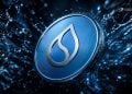 SUI Crypto Holds Key Support – Here Is Why Bulls Still See Bigger Targets Ahead