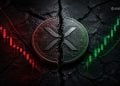 XRP Crypto Faces Growing Competition - Here Is Why Investors Remain Divided