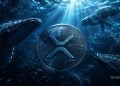 XRP Crypto Surges 13% as Whales Accumulate – Here Is Why Institutional Demand Keeps Growing