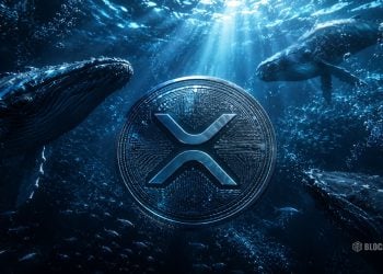 XRP Crypto Surges 13% as Whales Accumulate – Here Is Why Institutional Demand Keeps Growing
