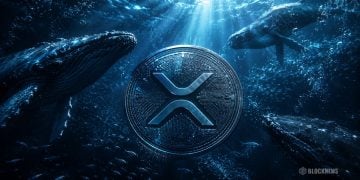 XRP Crypto Surges 13% as Whales Accumulate – Here Is Why Institutional Demand Keeps Growing