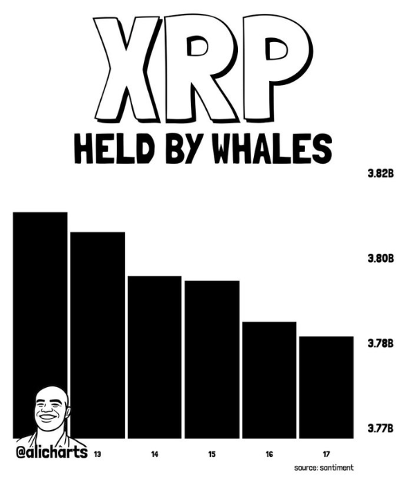 XRP Ripple Held by Whales