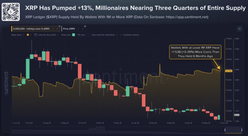 XRP Ripple Whale