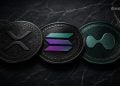 XRP, Solana, and HYPE Crypto ETFs Defy Market Slump – Here Is Why Investors Keep Buying