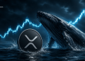 Xrp Whales Control 74 of Supply - Here is Why Investors Think a Big Move Could Be Coming