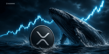 XRP Whales Control 74% of Supply – Here Is Why Investors Think a Big Move Could Be Coming