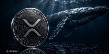 XRP Whales Shift Away From Binance – Here Is Why Analysts Are Watching Exchange Flows Closely