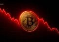 Bitcoin Is Trading 50% Below Its Peak — Here Is Why This Dip Could Be a Long-Term Buying Opportunity