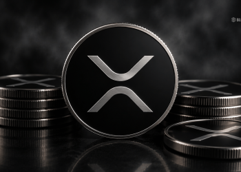 Bitwise ETF Buys $6.55M Worth of XRP – Here Is Why Institutions Are Paying Attention