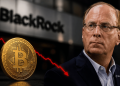 Blackrocks Bitcoin Etf Sees Fresh Outflows - Here is Why Institutions Are Pulling Back