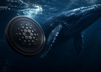 Here Is Why Cardano Could Be Building Momentum as Whales Accumulate Millions of ADA