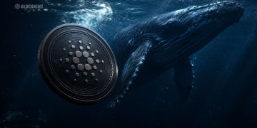 Here Is Why Cardano Could Be Building Momentum as Whales Accumulate Millions of ADA