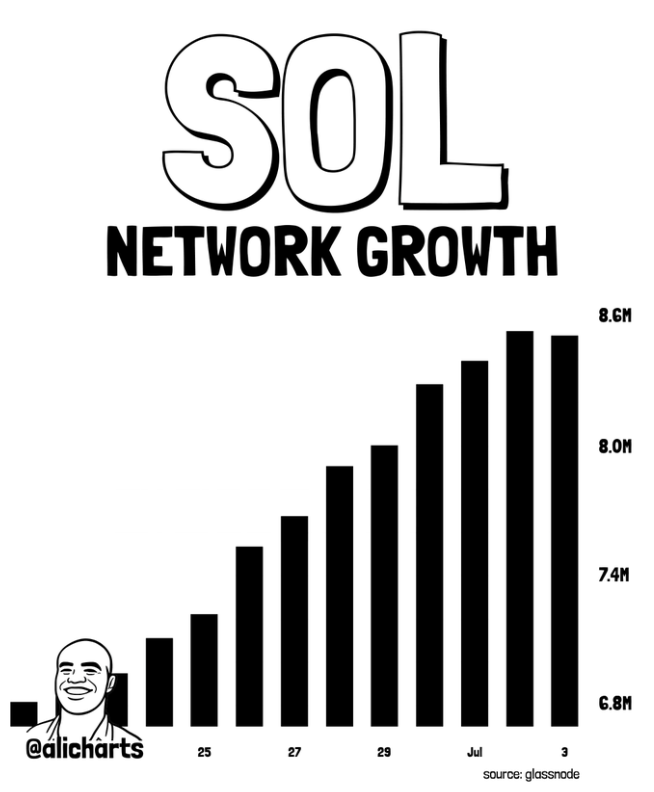 Solana Network Growth
