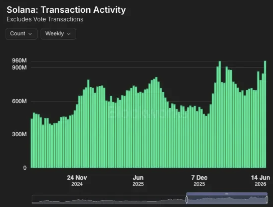 Solana Transaction Activity