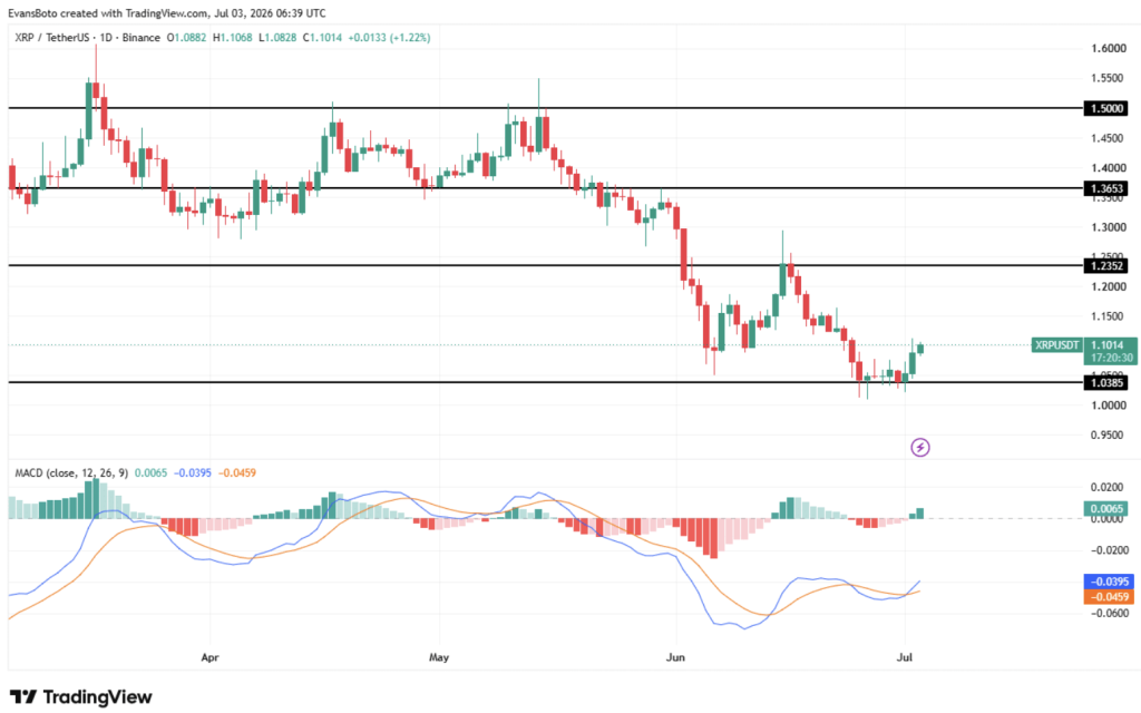 XRP Ripple 
