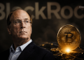 Blackrock Says Bitcoins Diversifier Case is Strengthening - Here is What Could Drive It